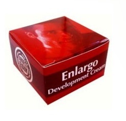 Enlargo Development
